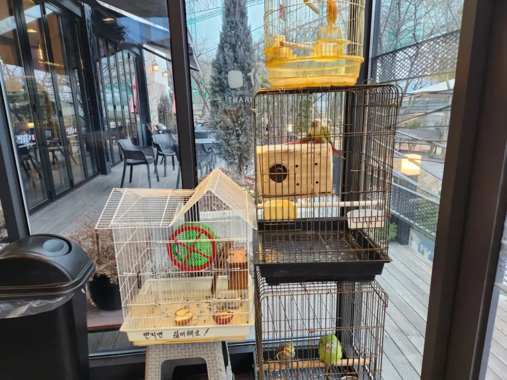 갈비탕의 깊은 맛을 찾아서 대전 원촌동 쌍촌본가 11 20240218 144917