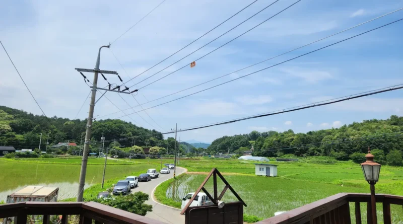 양평맛집 하늘촌보리밥: 보리밥 2인분 주문하면 반계탕 서비스까지!" 1 20240609 130642