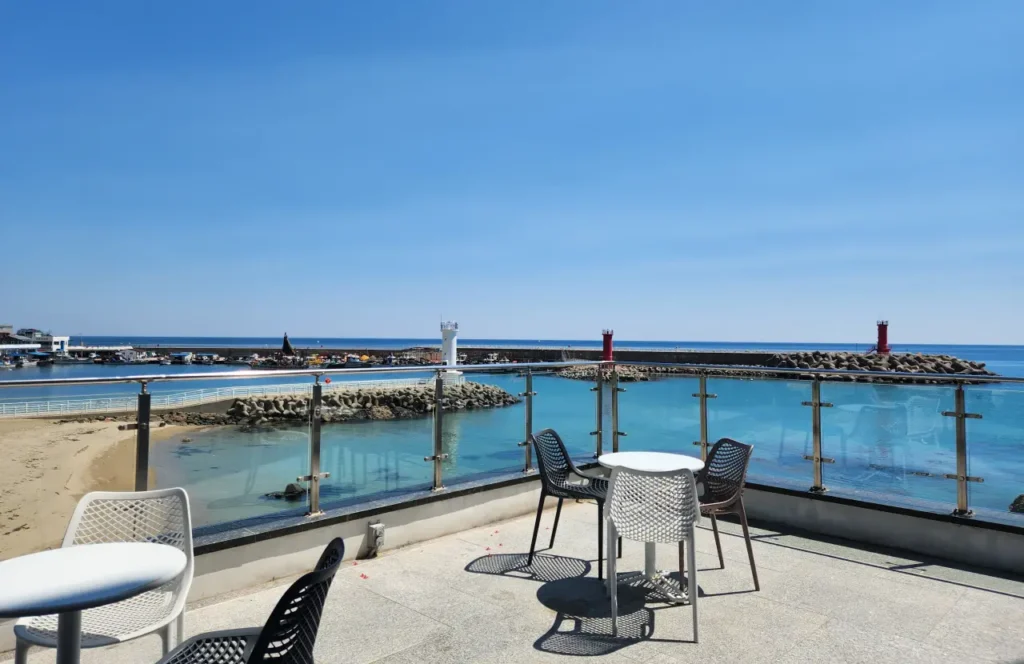 영덕여행 파나크 오퍼레이티드 바이 소노