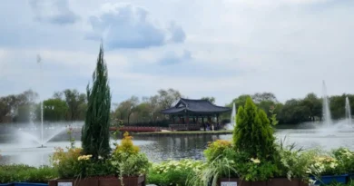 buyeo gungnamji pond autumn