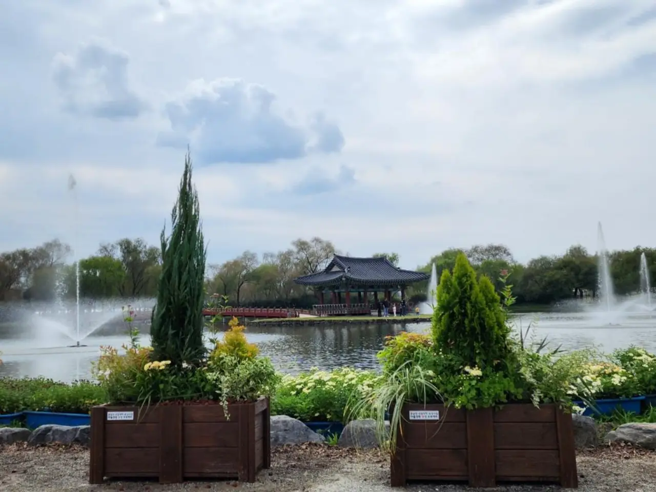 부여 궁남지 가을 국화 야경