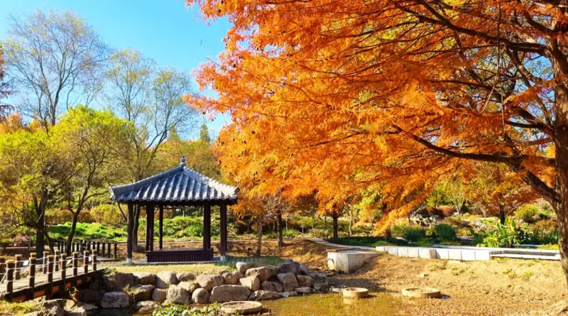전주한옥마을 가을여행코스 2025 (Jeonju Hanok Village Autumn Travel Guide) 1 jeonju hanok village autumn
