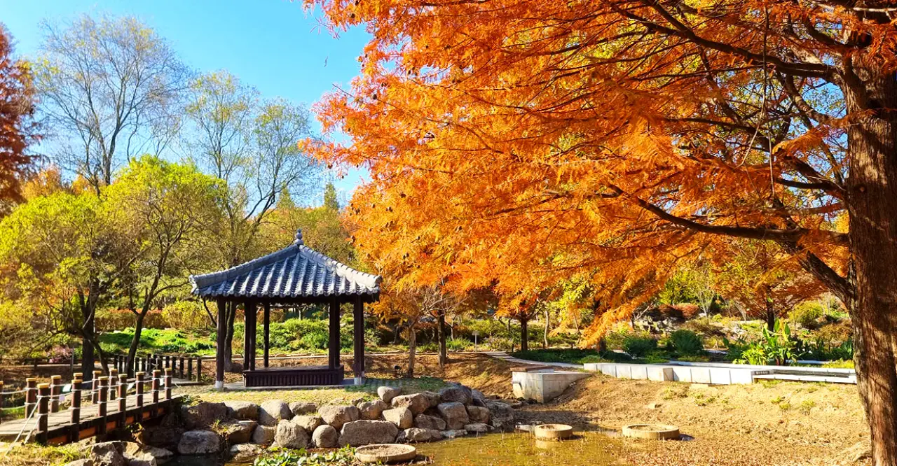 전주한옥마을 가을 전경 (Jeonju Hanok Village Autumn View)