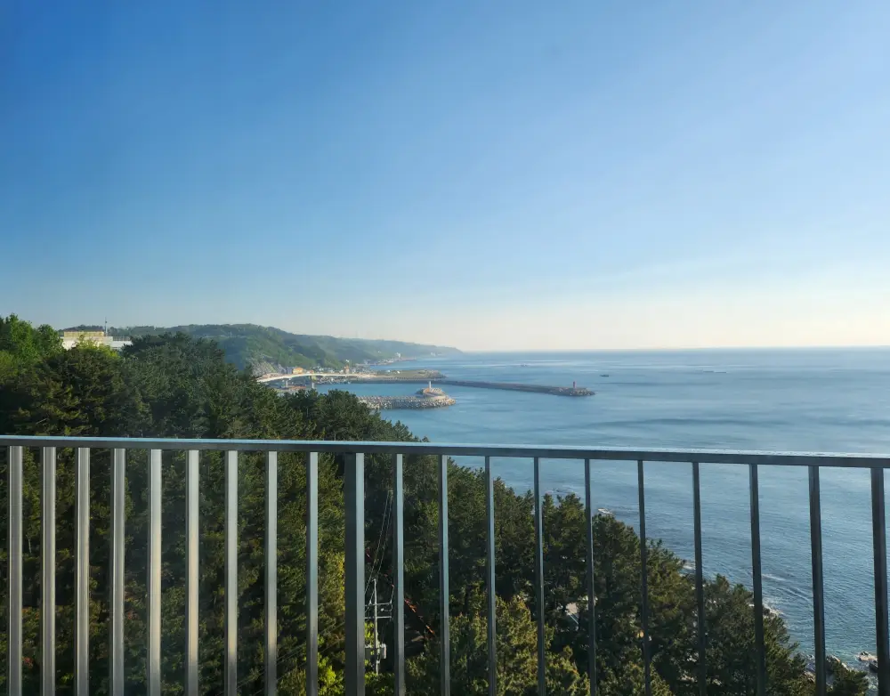 파나크 영덕 바이 소노벨 슈페리어 오션뷰 객실 내부 바 전경